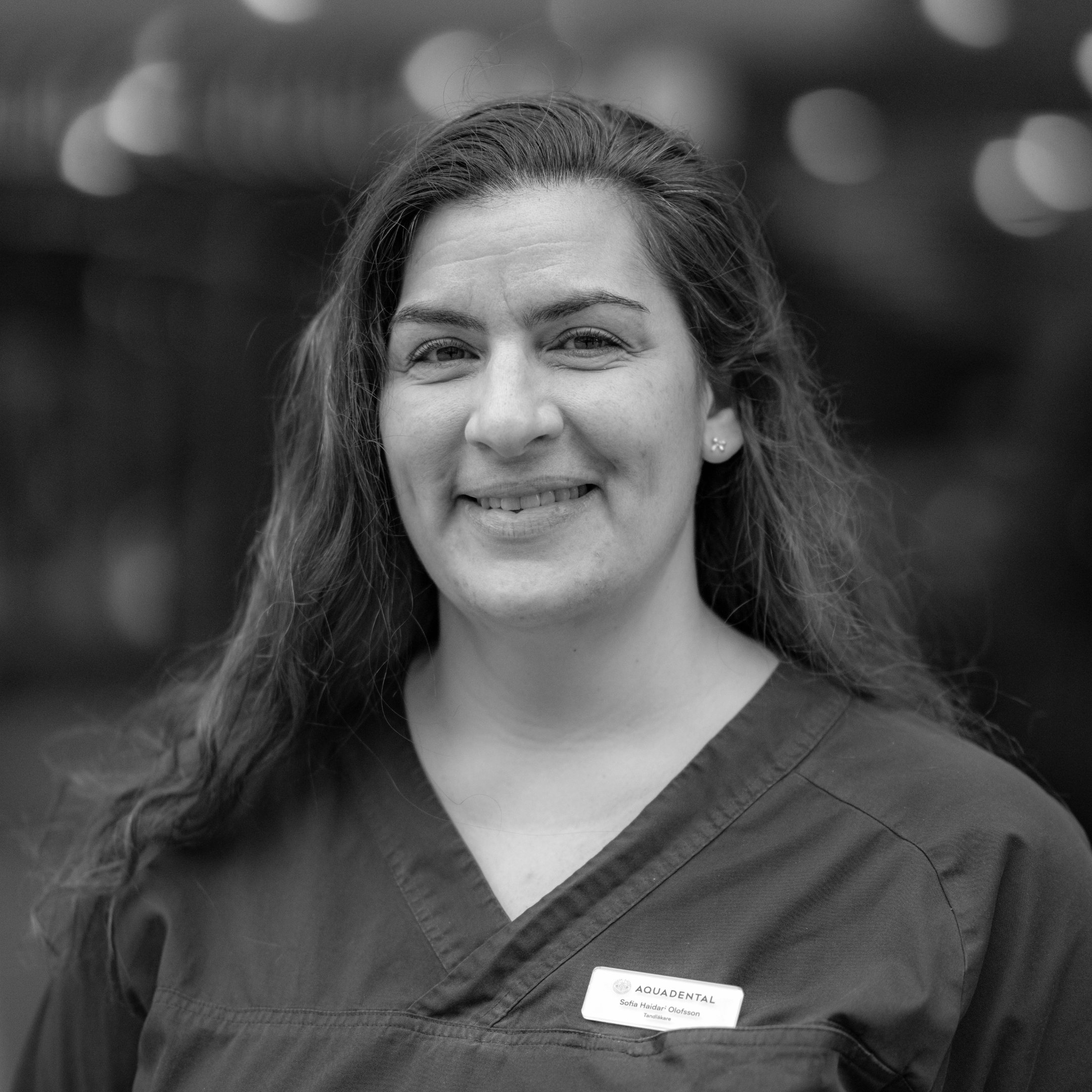 Sofia Haidari Olofsson Sofia Haidari Olofsson