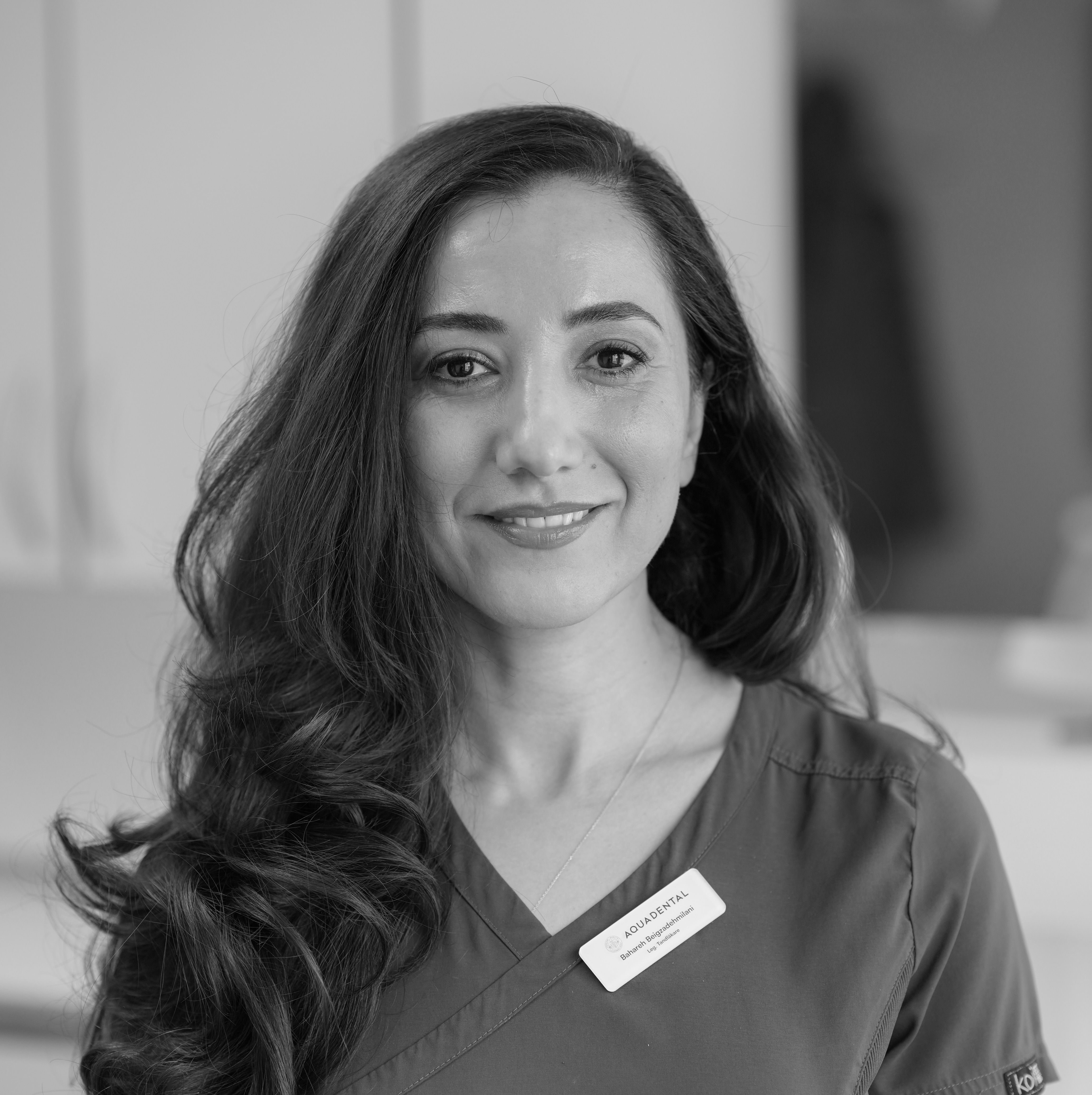 Bahareh Beigzadehmilani Bahareh Beigzadehmilani
