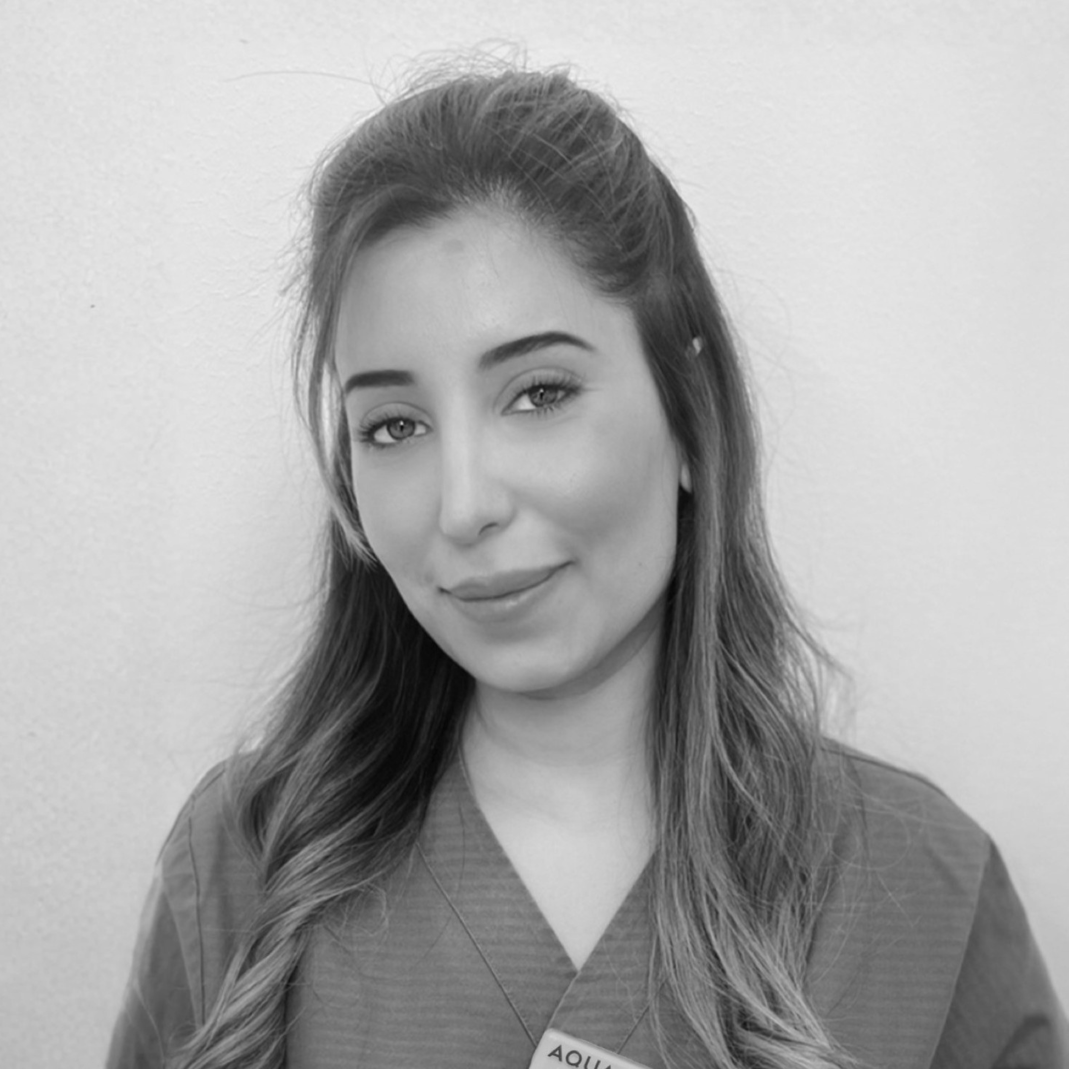 Ceva Al Barwari